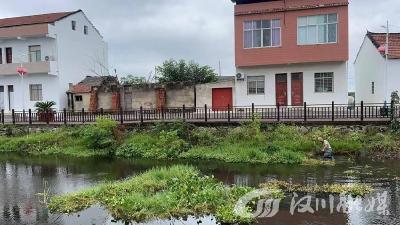 韩集乡南支村：党员志愿者齐行动，清洁水渠焕新颜