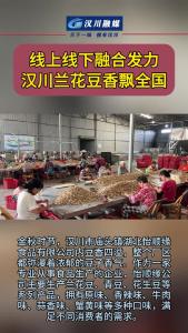 视频 | 线上线下融合发力，汉川兰花豆香飘全国