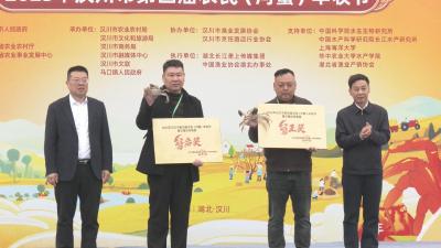 【视频】“蟹王”“蟹后”揭晓  看汉川河蟹如何“横行”夺冠