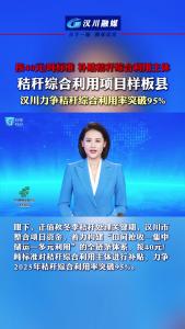 视频 | 按40元/吨标准  补贴秸秆综合利用主体  秸秆综合利用项目样板县  汉川力争秸秆综合利用率突破95% 