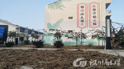 新堰镇：广场变“晒粮场” 便民举措暖民心