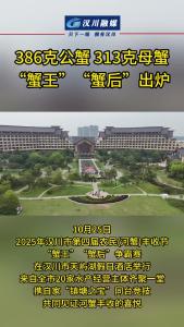 视频 | 386克公蟹 313克母蟹“蟹王”“蟹后”出炉