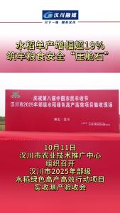 视频 | 水稻单产增幅超19%，筑牢粮食安全“压舱石”