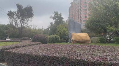 【视频】精修细剪，“绣”出城市新风貌