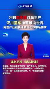 视频 | 冲刺四季度订单生产  汉川童车加速推向世界  完整产业链快速响应全球市场需求
