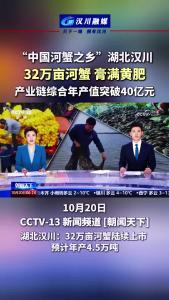 视频 | “中国河蟹之乡”湖北汉川 32万亩河蟹膏满黄肥  产业链综合年产值突破40亿元