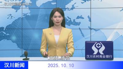 汉川新闻20251010