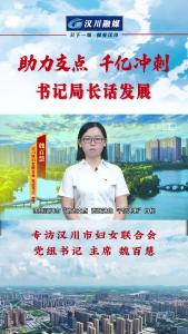 视频 | 《助力支点 千亿冲刺--书记局长话发展》专访汉川市妇女联合会 党组书记 主席 魏百慧