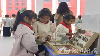 实验小学：让童心跟着蝴蝶飞起来
