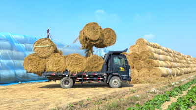 【视频】汉川：点草成金 超70万亩秸秆将变身“金宝贝”