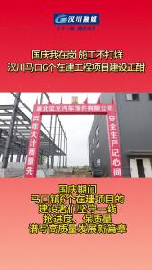 视频 | 国庆我在岗 施工不打烊 汉川马口6个在建工程项目建设正酣