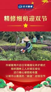 视频 | 【庆双节 焕新貌】市城管局：精修细剪迎双节
