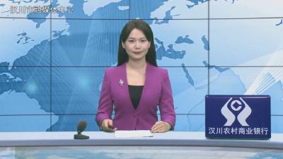 汉川新闻20251029