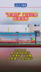 视频 | “里潭杯”门球比赛圆满落幕