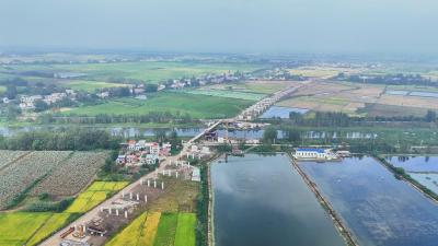 【视频】国庆不停工！S109汉川段建设现场“热浪滚滚”