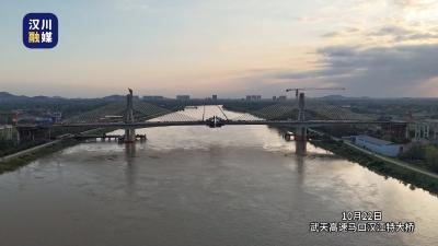 视频 | 武天高速马口汉江特大桥，夕阳洒下金晖，照映着建设者的努力和汗水。