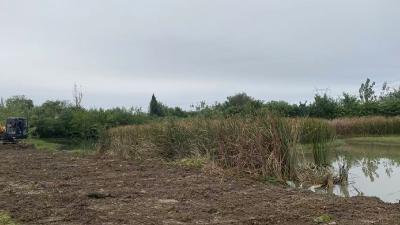 新堰镇：“荒地”变“良田” 闲置土地重焕生机