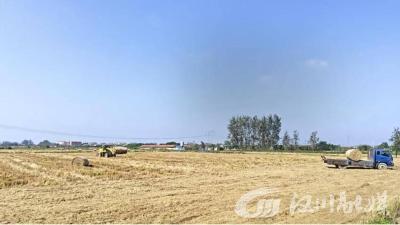 汉川市湾潭乡：“疏堵结合”巧解秸秆禁烧难题