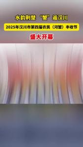 视频 | 10月25日，以“水韵荆楚 ‘蟹’逅汉川”为主题的2025年汉川市第四届农民（河蟹）丰收节在天屿湖拉开帷幕