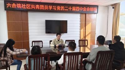 专题宣讲引热议 六合垸社区青春聚力共学全会精神