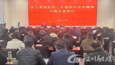 深学细悟凝伟力 实干笃行启新程——麻河镇以党的二十届四中全会精神为指引擘画“藕粉小镇”高质量发展新蓝图