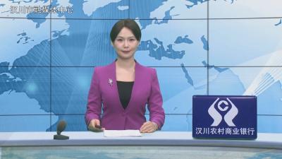 汉川新闻20251121