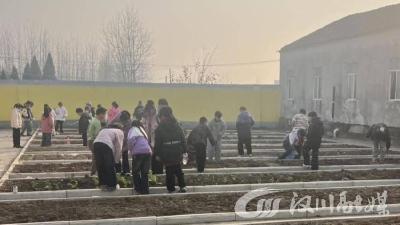 汉川市田二河镇燕子小学开启农耕实践育人之旅