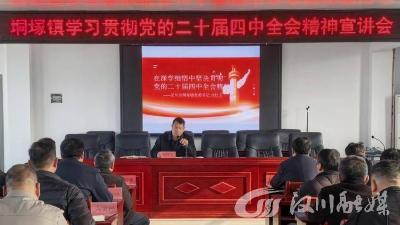 垌塚镇开展学习贯彻党的二十届四中全会精神宣讲会