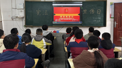 杨林小学开展读宪、学宪、画宪系列活动