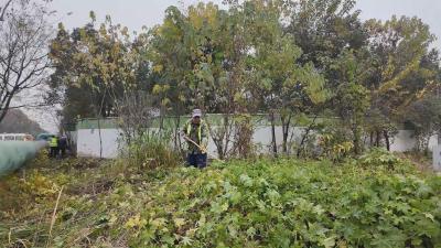 【视频】汉江国投精管绿地 专业养护队成主力军