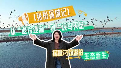 视频 | 【张彤探城记】从“退垸还湖”到“观鸟天堂” 探秘汈汊湖的生态新生