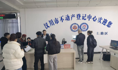 网络突发故障 汉川市不动产登记中心启动应急服务获群众点赞
