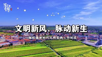 视频 | 第10期脉旺镇:文明新风 脉动新生