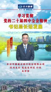 视频 | 《学习贯彻党的二十届四中全会精神--书记局长话发展》专访中国建设银行股份有限公司汉川支行 党总支书记 行长 王学军