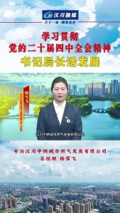 视频 | 《学习贯彻党的二十届四中全会精神--书记局长话发展》专访汉川中燃城市燃气发展有限公司  总经理  杨雪飞