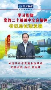 视频 | 《学习贯彻党的二十届四中全会精神--书记局长话发展》专访市发展和改革局党组书记、局长 李金峰