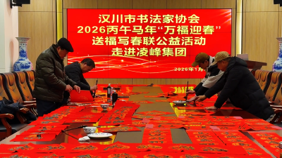【视频】“万福迎春”送福写春联公益活动走进凌峰集团
