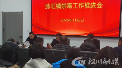 脉旺镇召开禁毒工作推进会 织密乡村“防毒网”