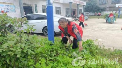 清洁乡村我先行 文明新风入人心——分水镇以志愿行动深化“美城”建设