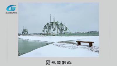 视频 | 【共“见”汉川】雪落汈汊湖 残荷凝玉 水鸟掠雪 渔舟静泊 冬日的水乡 清寂又写意