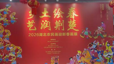 【视频】暖冬添年味 汉川农民画省展放异彩