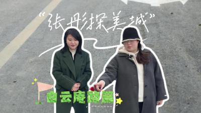 视频 | 【张彤探美城】白云庵路的幸福变形记