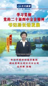 视频 | 《学习贯彻党的二十届四中全会精神--书记局长话发展》专访中国移动通信集团湖北有限公司汉川分公司 总经理 张梅
