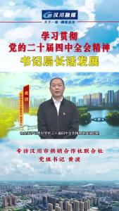 视频 | 《学习贯彻党的二十届四中全会精神--书记局长话发展》专访汉川市供销合作社联合社 党组书记 黄波