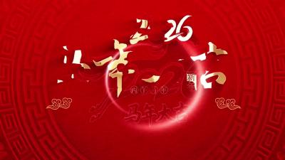 视频 | 汉川市第三人民医院 沉湖镇卫生院给全市人民拜年了！