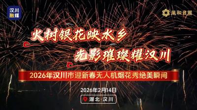 视频 | 火树银花映水乡，光影璀璨耀汉川！2026年汉川市迎新春无人机烟花秀表演绝美瞬间~