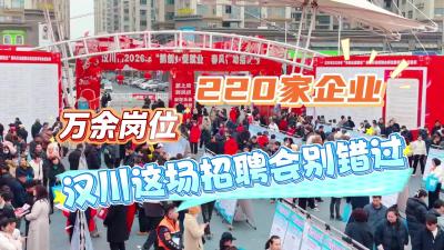 视频 | 220家企业+万余岗位！汉川这场招聘会别错过