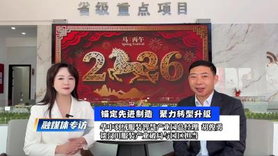 视频 | 融媒体专访｜锚定先进制造 聚力转型升级——华中羽绒服装智慧产业园总经理胡俊勇 谈汉川服装产业破局与园区担当