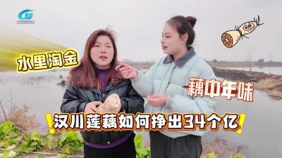 视频 | 【李玲话兴水】水里淘金，藕中年味，汉川莲藕如何挣出34个亿