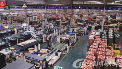 【视频】春节订单旺 合信包装开足马力赶工忙